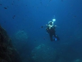 Cursos de buceo hasta nivel 2 